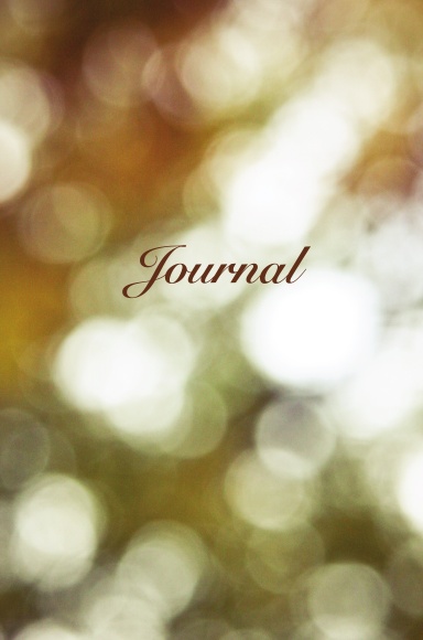 Journal