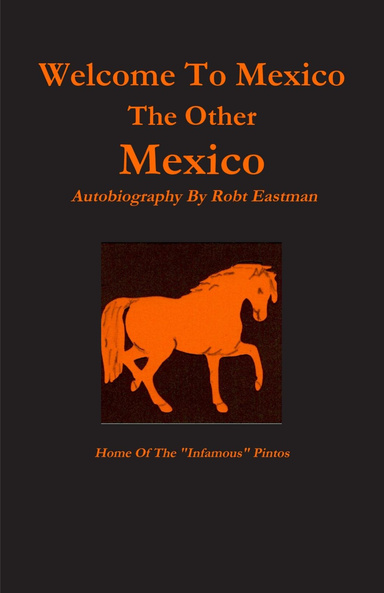 Welcome To Mexico - The Other Mexico