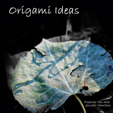 Origami Ideas