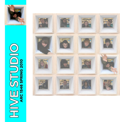 Hive Studio