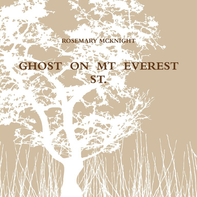 GHOST  ON  MT  EVEREST  ST.