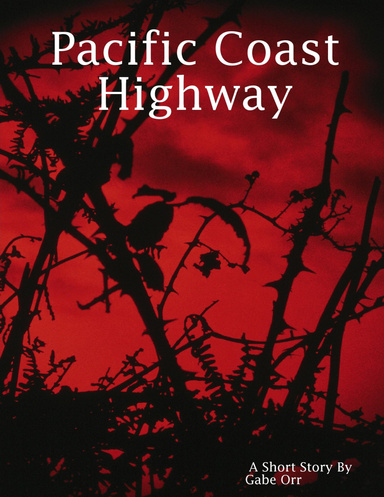 Pacific Coast Highway