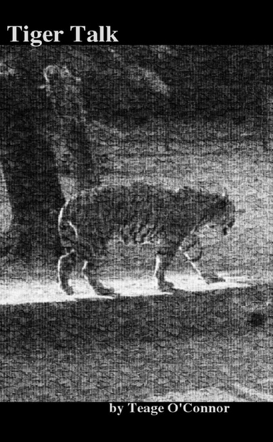Tiger Talk