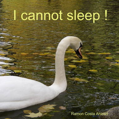 I cannot sleep !