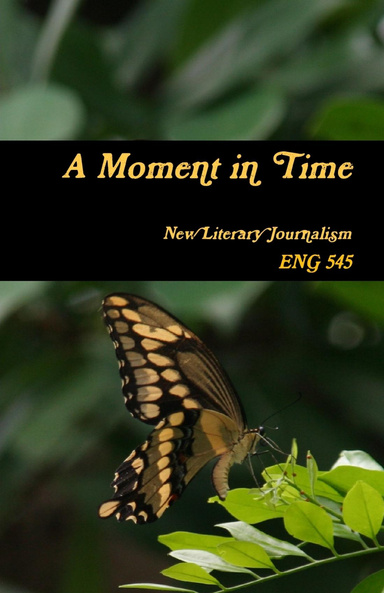 A Moment in Time