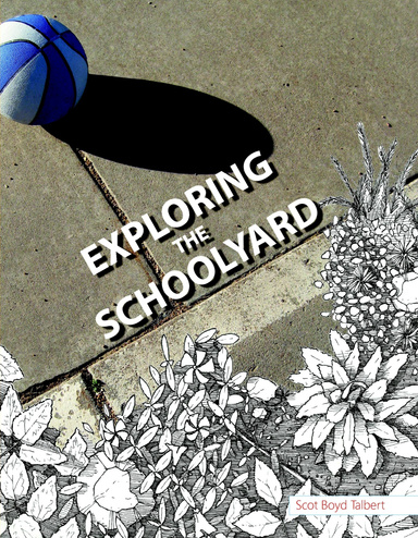 Exploring the Schoolyard