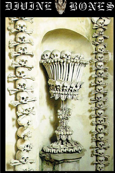 Divine Bones