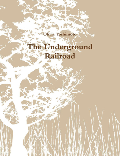 The Underground Railroad