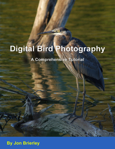 Digital Bird Photography - A Comprehensive Tutorial