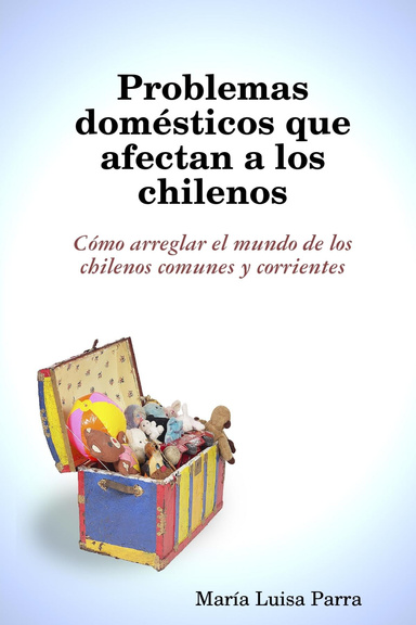 Problemas domésticos que afectan a los chilenos