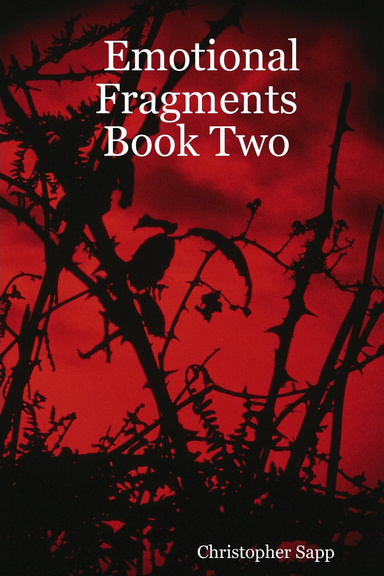 Emotional Fragments: Book Two