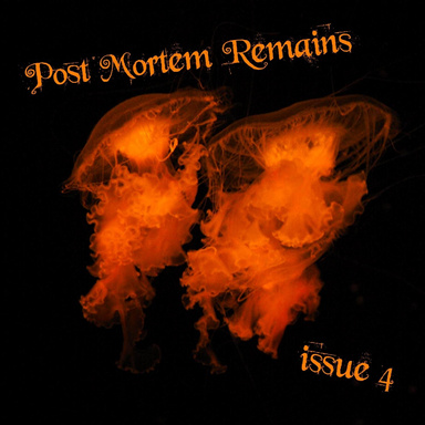 Post Mortem Remains Issue#4