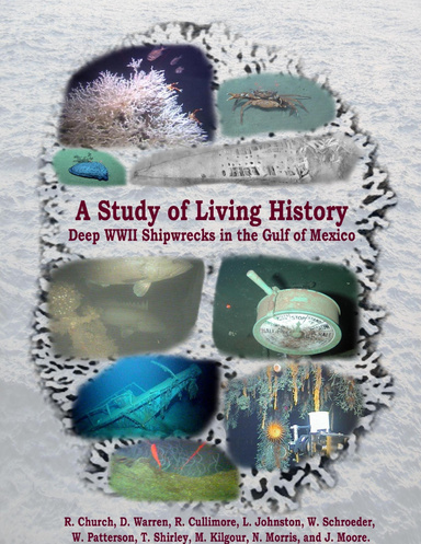 A Study of Living History: Deep WWII Shipwrecks in the Gulf of Mexico