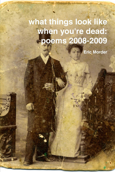 what things look like when you're dead:  poems 2008-2009