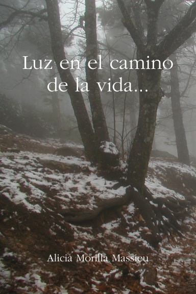 Luz en el camino de la vida...
