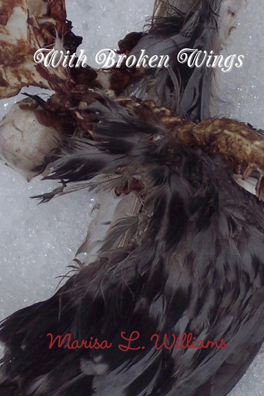 With Broken Wings
