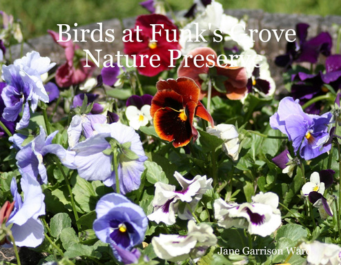 Birds at Funk's Grove Nature Preserve