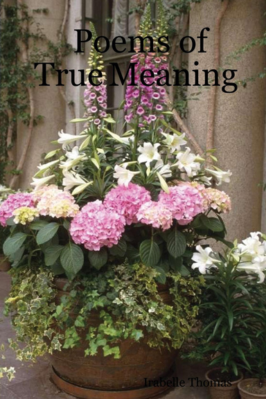 Poems of True Meaning