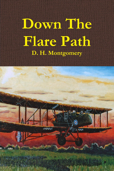 Down the Flare Path