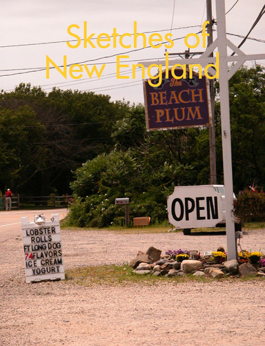 Sketches of New England