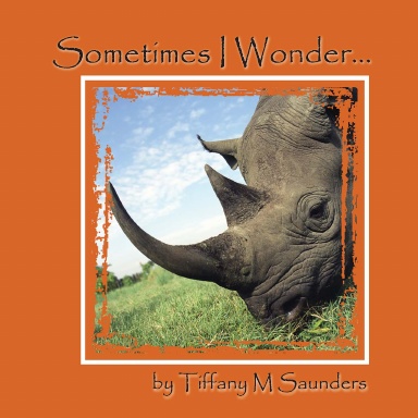 Sometimes I Wonder
