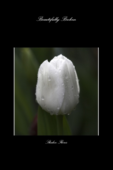 Beautifully Broken