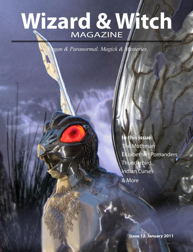 Wizard & Witch Magazine - January 2011 Issue
