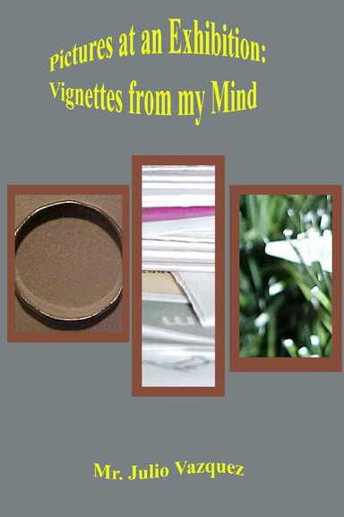 Pictures at an Exhibition: Vignettes From My Mind
