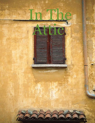 In The Attic