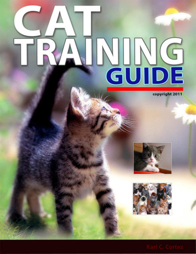 Cat Training Guide