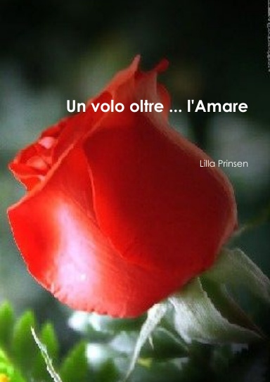 Un volo oltre ... l'Amare