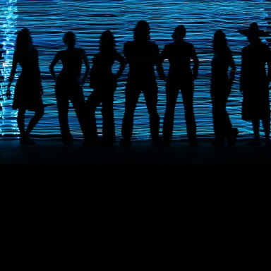 BFA Senior Thesis Exhibition 2008