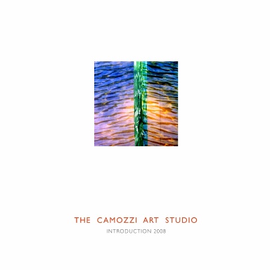 Teresa Camozzi, Introduction 2008