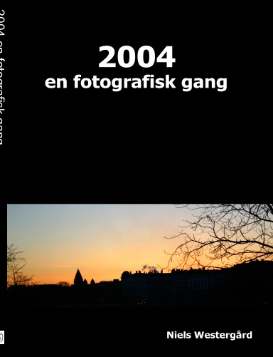 2004 en fotografisk gang