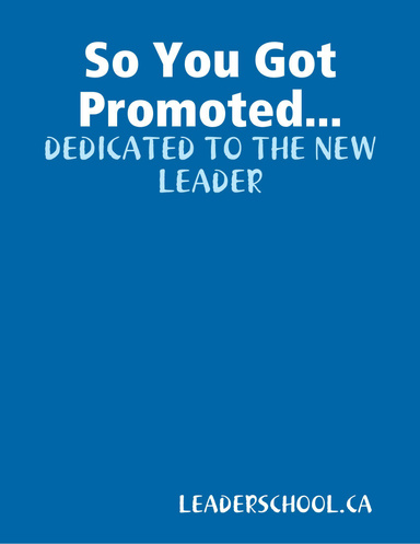 So You Got Promoted....