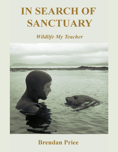In Search of Sanctuary: Wildlife, My Teacher