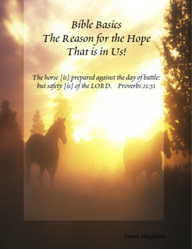 Bible Basics - The Reason for the Hope That Is In Us!