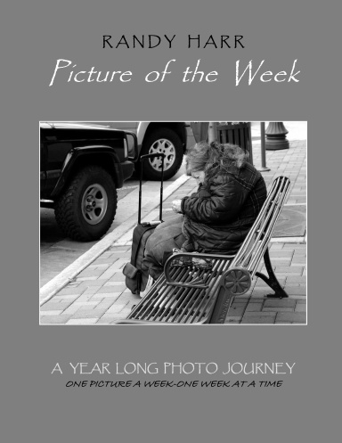 Picture of the Week