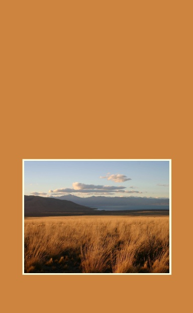 Out on the Pampas (pocket size)