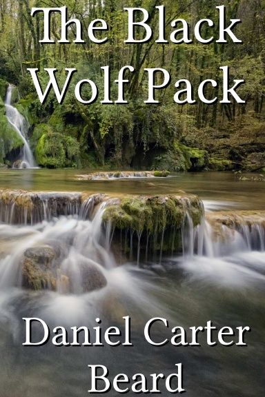 The Black Wolf Pack