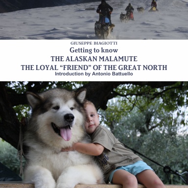 Getting to know THE ALASKAN MALAMUTE THE LOYAL “FRIEND” OF THE GREAT NORTH