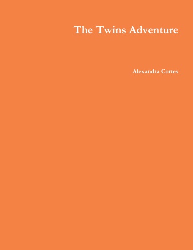 The Twins Adventure