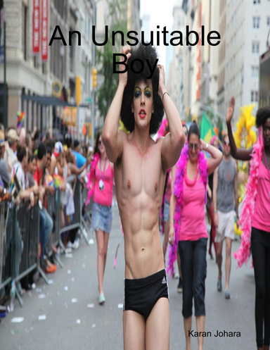 An Unsuitable Boy