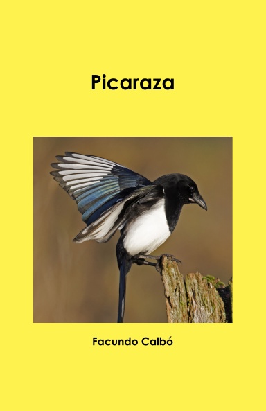 Picaraza