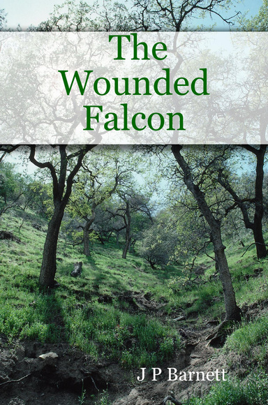 The Wounded Falcon