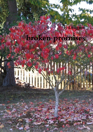 broken promises