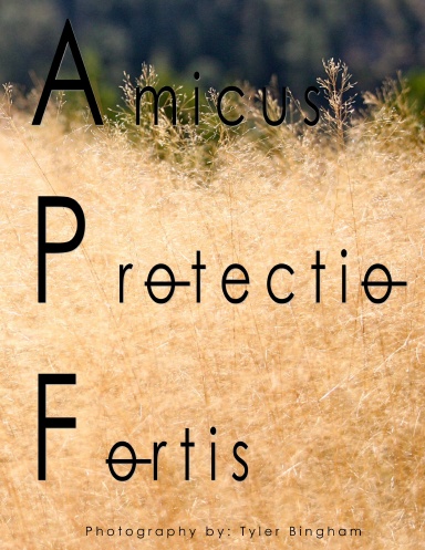 Amicus Protectio Fortis