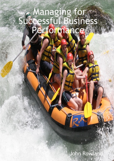Managing for Successful Business Performance