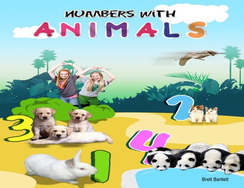 Numbers With Animals