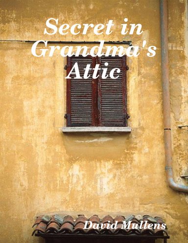 Secret in Grandma's Attic